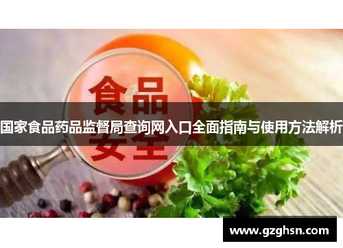 国家食品药品监督局查询网入口全面指南与使用方法解析