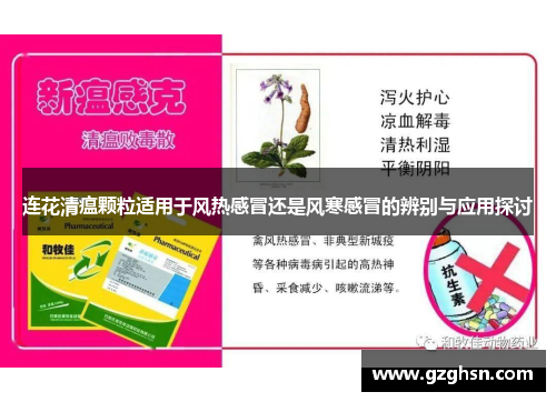 连花清瘟颗粒适用于风热感冒还是风寒感冒的辨别与应用探讨